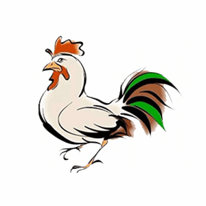 鸡